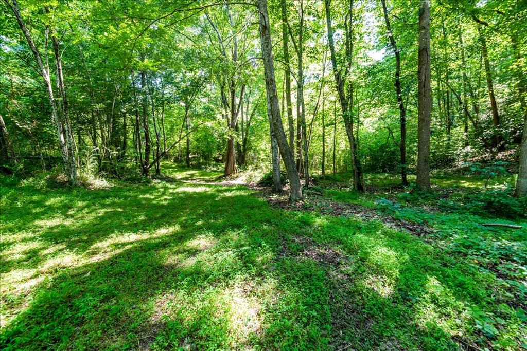 711 Redman Lane Decatur, TN 37322 - Photo 33 of 33 a big yard with lots of green space and trees