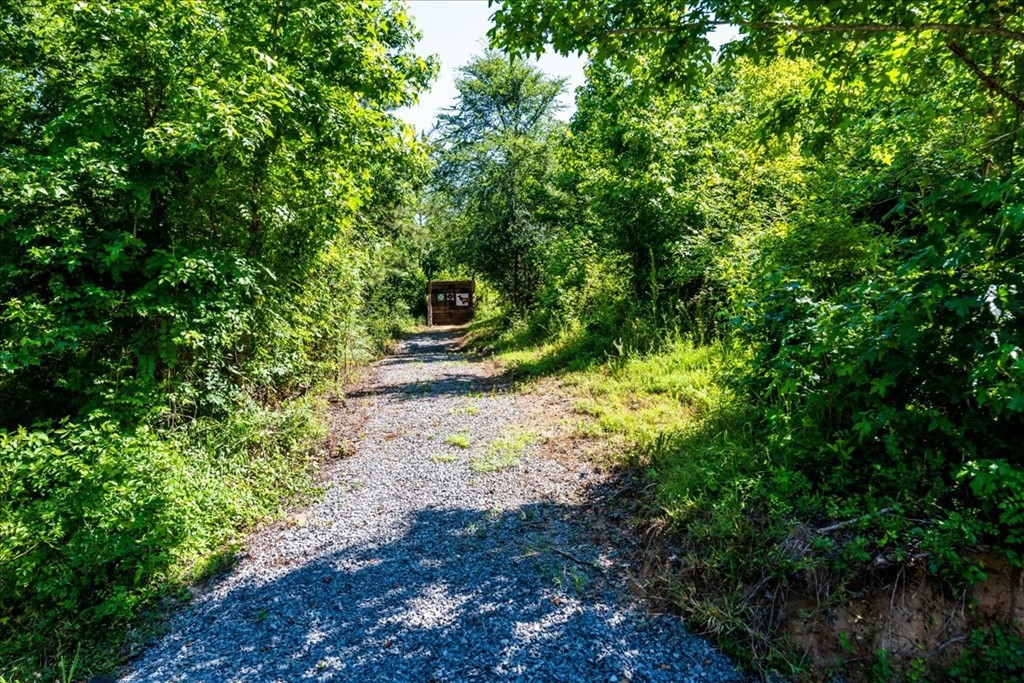 711 Redman Lane Decatur, TN 37322 - Photo 5 of 33 a view of outdoor space and yard