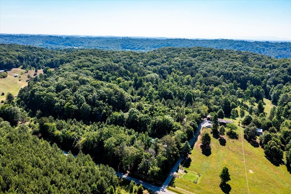 711 Redman Lane Decatur, TN 37322 - Photo 9 of 33 a view of a bunch of trees and cars