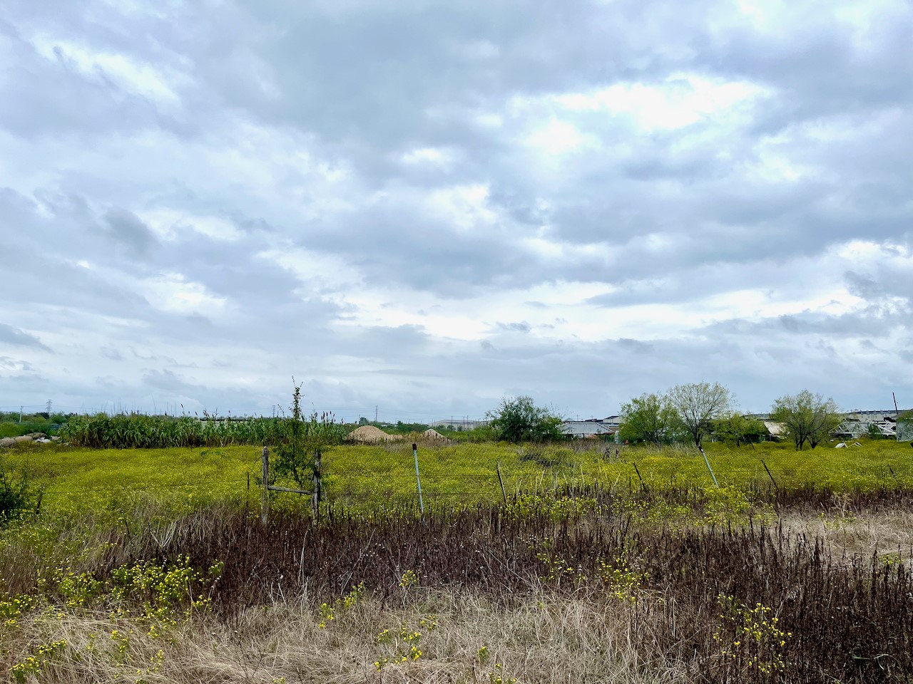 11604 Moore Road Austin, TX 78719 - Photo 13 of 19