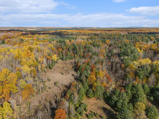 $945,000 | 15778 Peters Farm Road, Irons, MI 49644