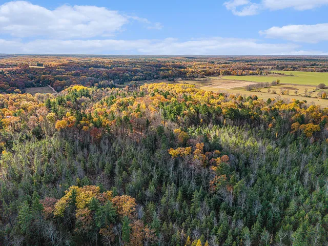 $945,000 | 15778 Peters Farm Road, Irons, MI 49644