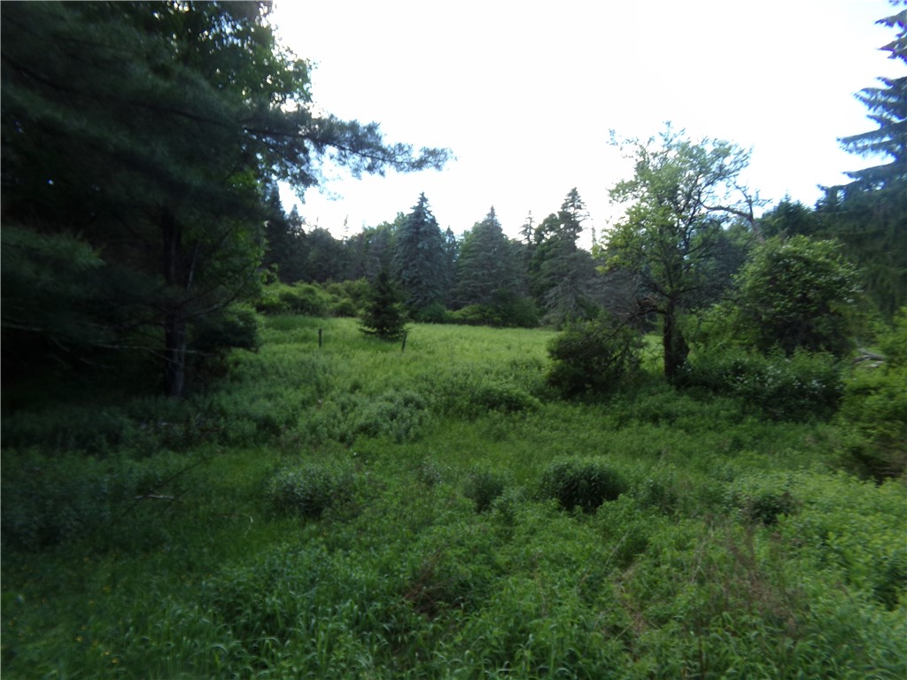293 Lockwood Hill Road Mount Upton, NY 13809 - Photo 13 of 17