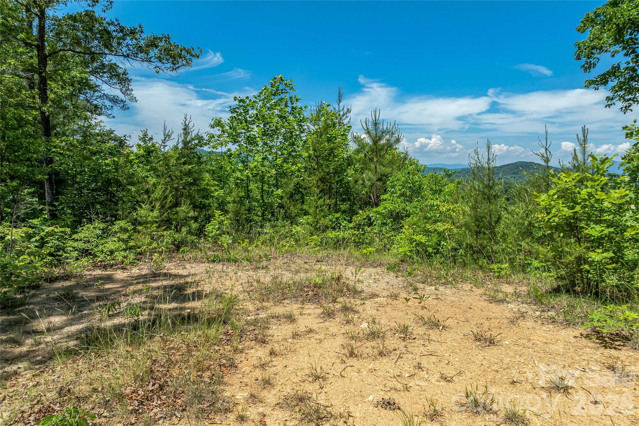 180 Fat Wall Road Marion, NC 28752 - Photo 22 of 32 a view of a yard with an trees