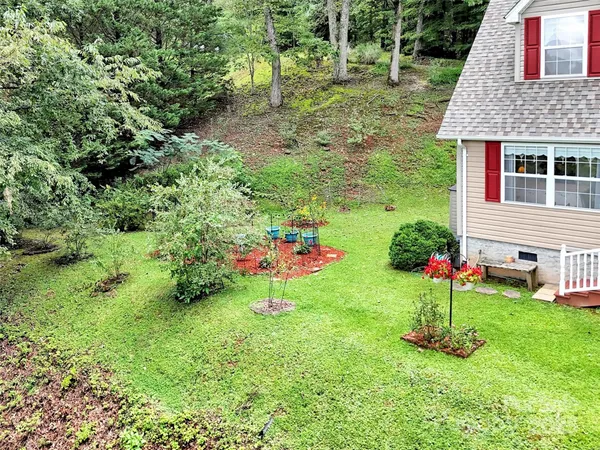 a view of a park with large trees