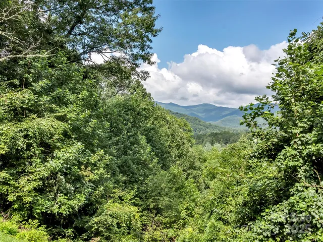 a view of a bunch of trees in a field
