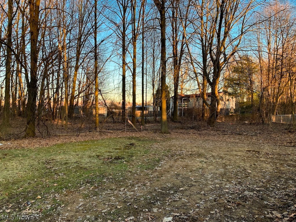 6844 Henderson Road Ravenna, OH 44266 - Photo 18 of 24 Backyard view 2.