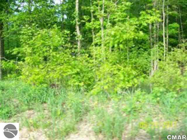 1638 County Line Road Sumner, MI 48889 - Photo 2 of 4 1764208-1.JPG