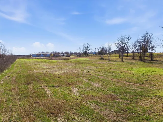 a view of a yard with an ocean beach