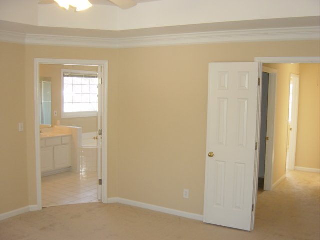 3 Landing Ferry Way Greer, SC 29650 - Photo 18 of 25 Gallery Image 18