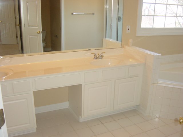 3 Landing Ferry Way Greer, SC 29650 - Photo 19 of 25 Gallery Image 19
