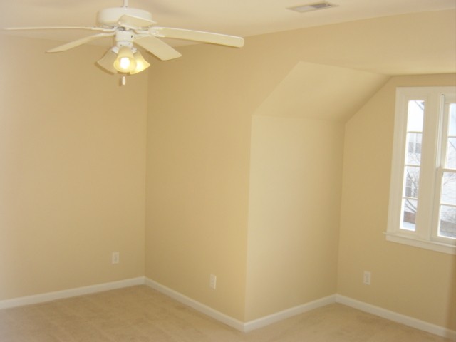 3 Landing Ferry Way Greer, SC 29650 - Photo 22 of 25 Gallery Image 22