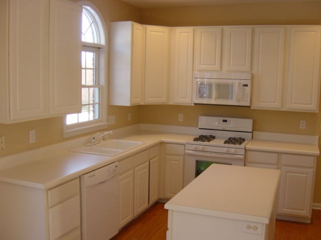 3 Landing Ferry Way Greer, SC 29650 - Photo 9 of 25 Gallery Image 9