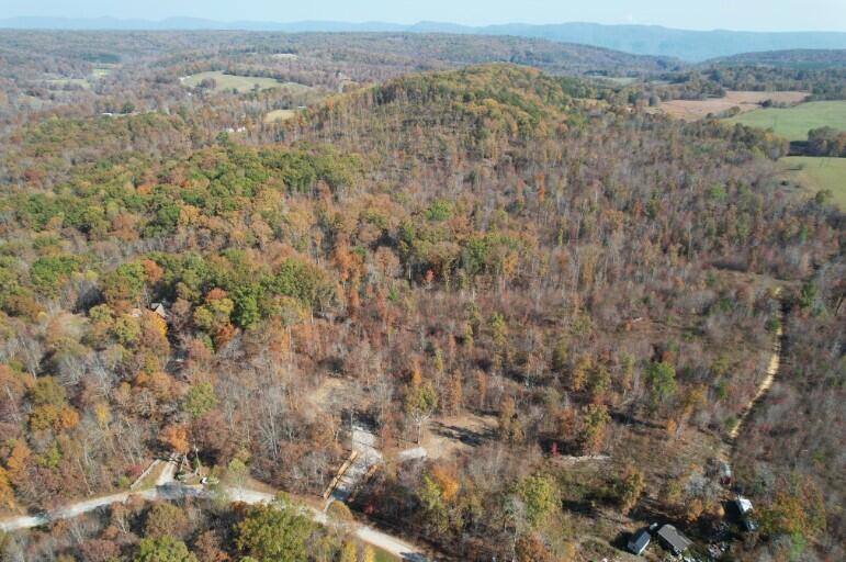 0 Poplar Road, Unit 43 Pikeville, TN 37367 - Photo 23 of 24 Screenshot 2024-11-21 001926