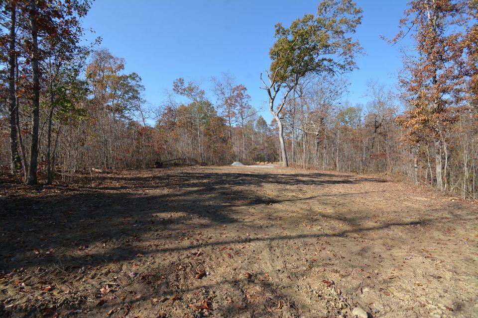 0 Poplar Road, Unit 43 Pikeville, TN 37367 - Photo 3 of 24 12 acres 3