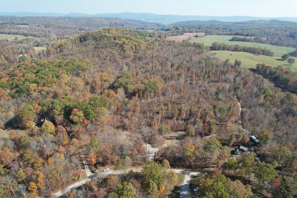 0 Poplar Road, Unit 43 Pikeville, TN 37367 - Photo 7 of 24 12 acres 7