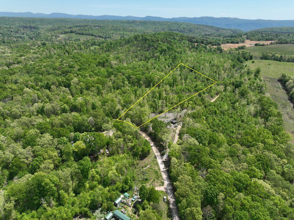 0 Poplar Road, Unit 43 Pikeville, TN 37367 - Photo 8 of 24 12 acres 8