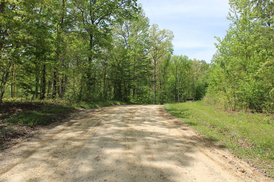 0 Poplar Road, Unit 43 Pikeville, TN 37367 - Photo 10 of 24 12 acres 10