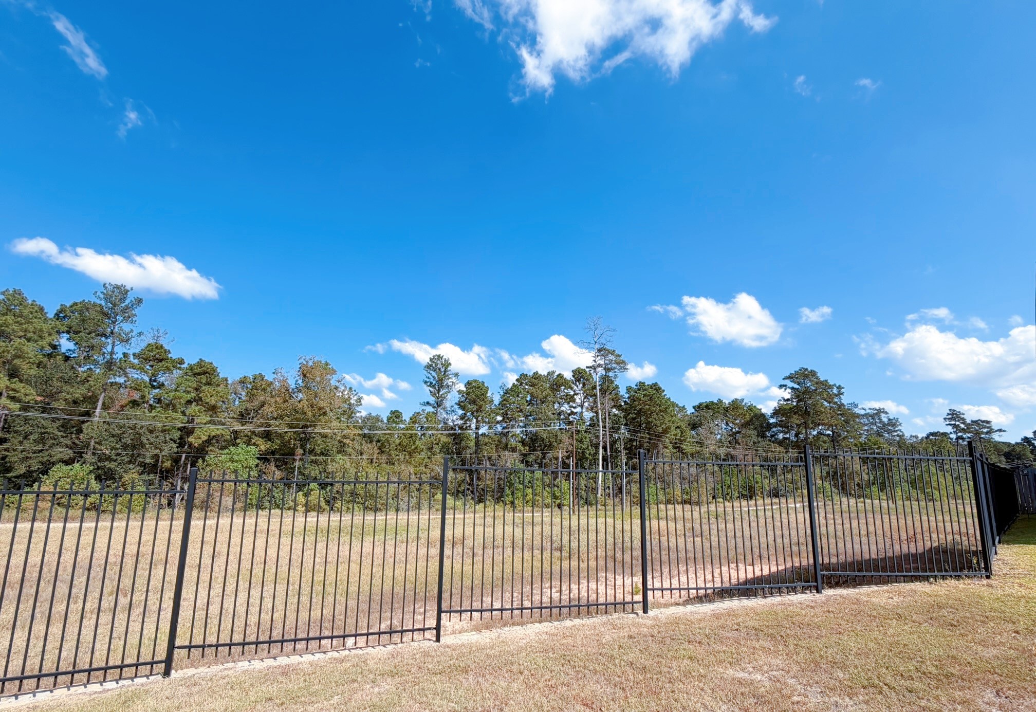 14003 Moose Creek Lane Conroe, TX 77384 - Photo 28 of 37 a view of a backyard