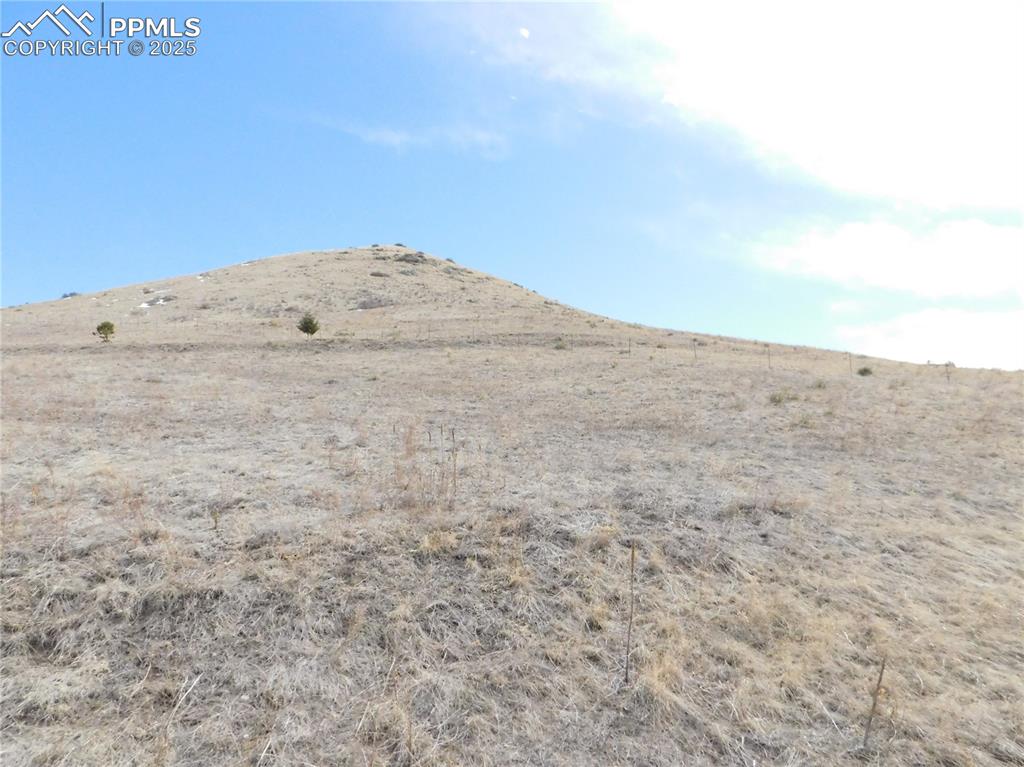 11972 Haskel Creek Road Larkspur, CO 80118 - Photo 16 of 50