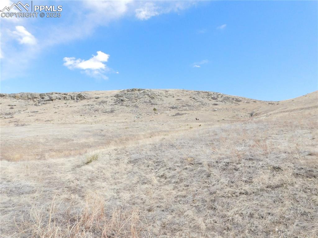 11972 Haskel Creek Road Larkspur, CO 80118 - Photo 18 of 50