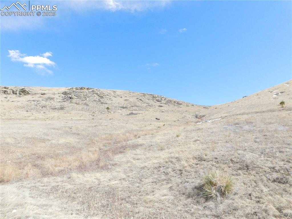 11972 Haskel Creek Road Larkspur, CO 80118 - Photo 20 of 50