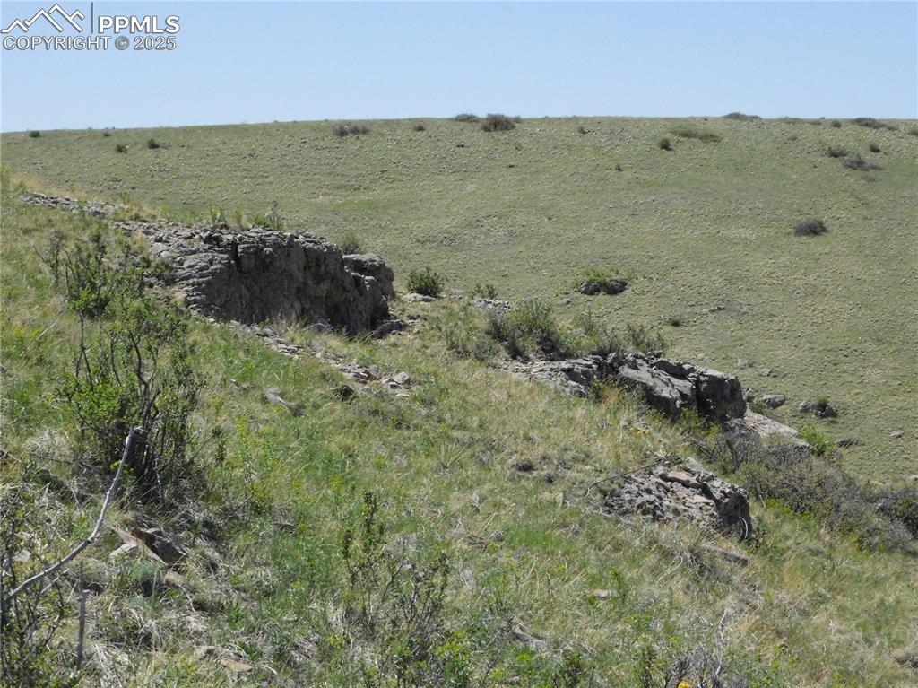 11972 Haskel Creek Road Larkspur, CO 80118 - Photo 26 of 50