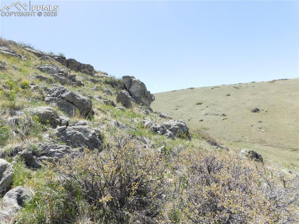 11972 Haskel Creek Road Larkspur, CO 80118 - Photo 30 of 50