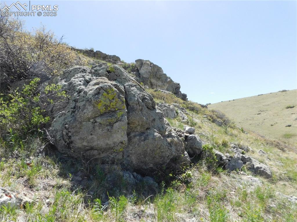 11972 Haskel Creek Road Larkspur, CO 80118 - Photo 31 of 50