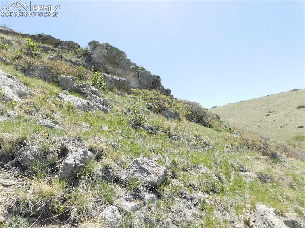 11972 Haskel Creek Road Larkspur, CO 80118 - Photo 32 of 50