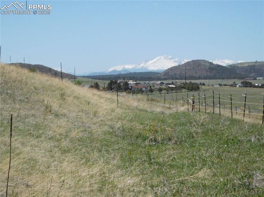 11972 Haskel Creek Road Larkspur, CO 80118 - Photo 36 of 50