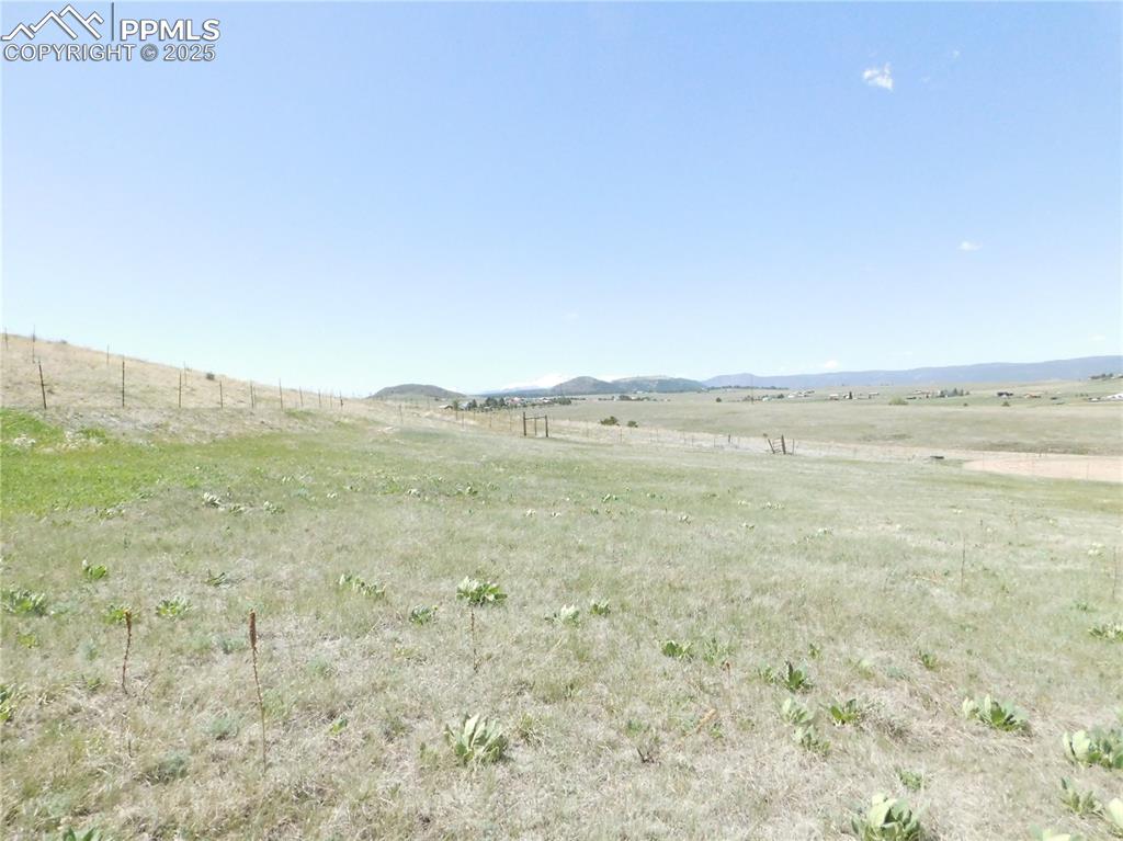 11972 Haskel Creek Road Larkspur, CO 80118 - Photo 38 of 50