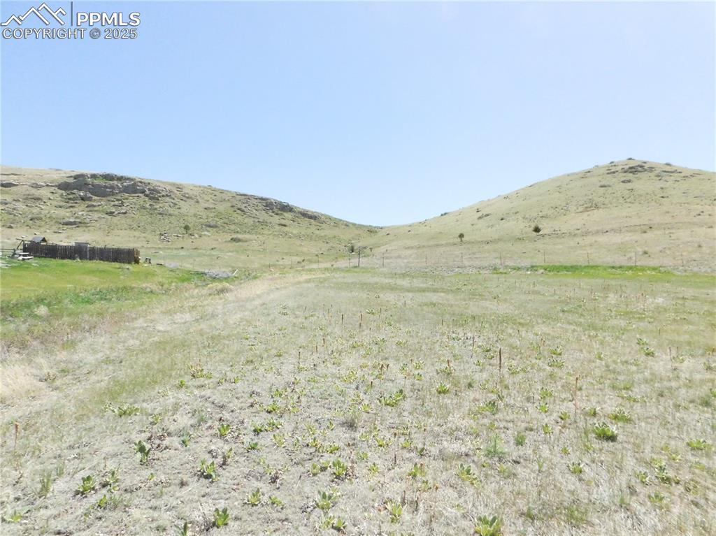 11972 Haskel Creek Road Larkspur, CO 80118 - Photo 39 of 50