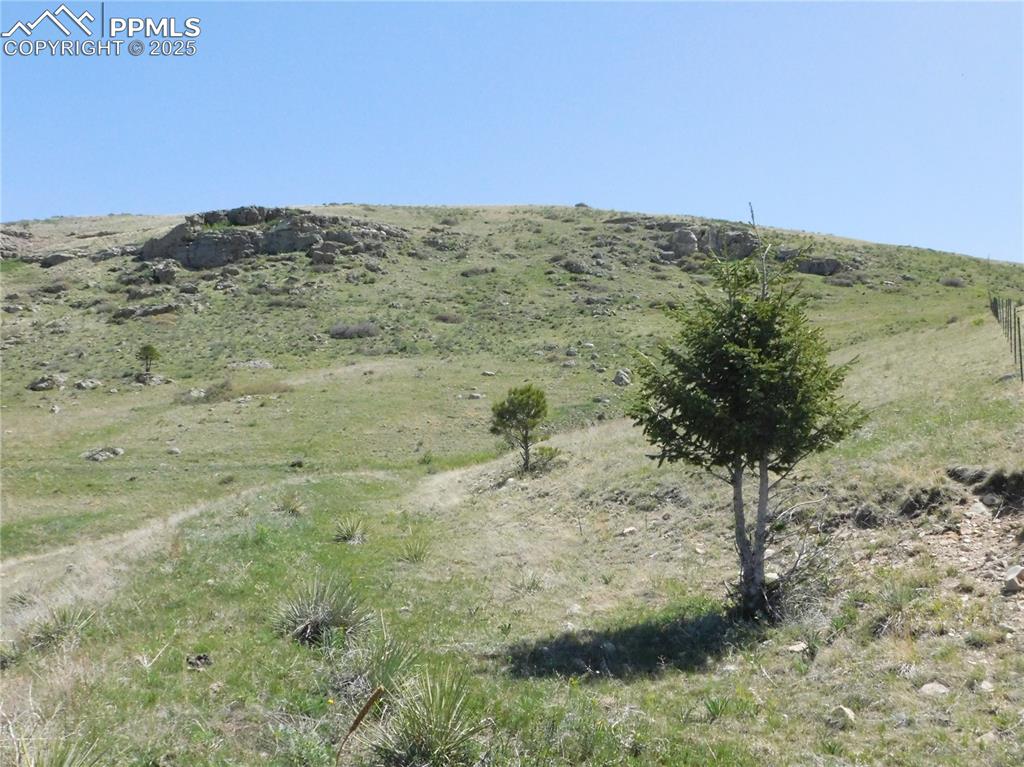 11972 Haskel Creek Road Larkspur, CO 80118 - Photo 45 of 50