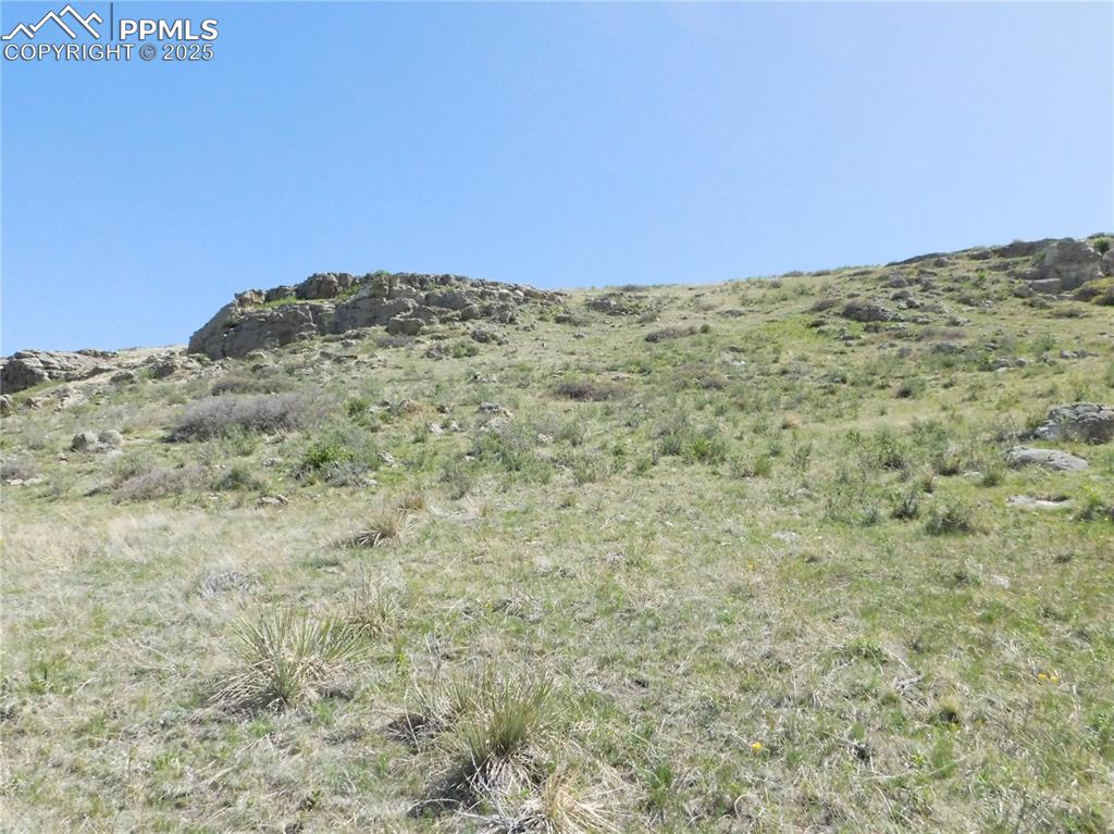 11972 Haskel Creek Road Larkspur, CO 80118 - Photo 49 of 50