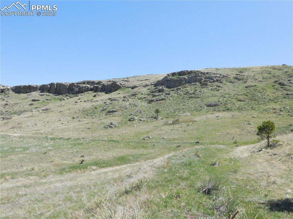 11972 Haskel Creek Road Larkspur, CO 80118 - Photo 50 of 50