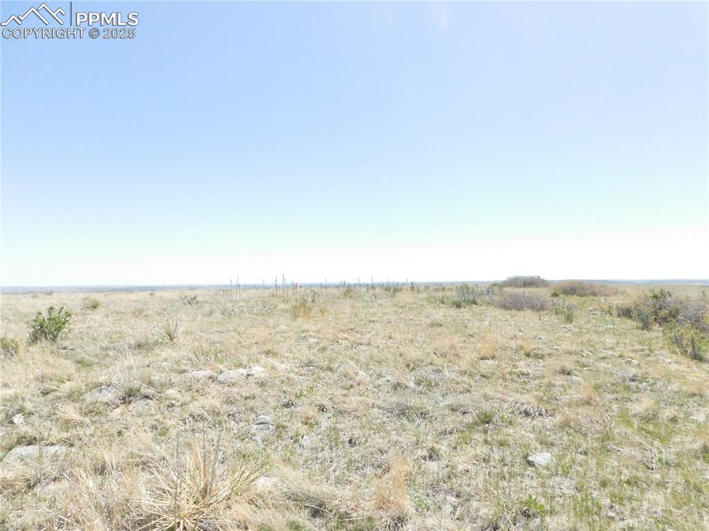 11972 Haskel Creek Road Larkspur, CO 80118 - Photo 10 of 50