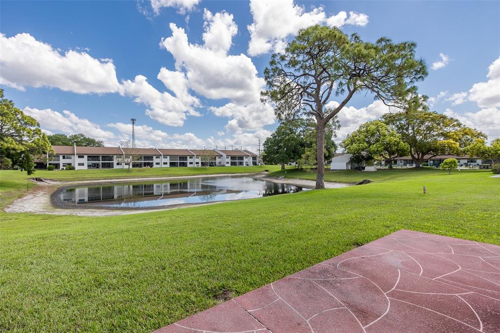 7834 Radcliffe Circle Port Richey, FL 34668 - Photo 23 of 31