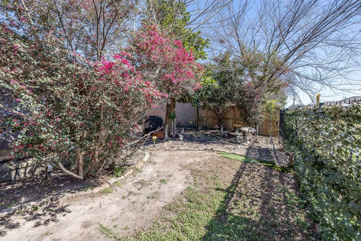 4613 Country Club View Baytown, TX 77521 - Photo 5 of 38 a view of a yard with plants and trees