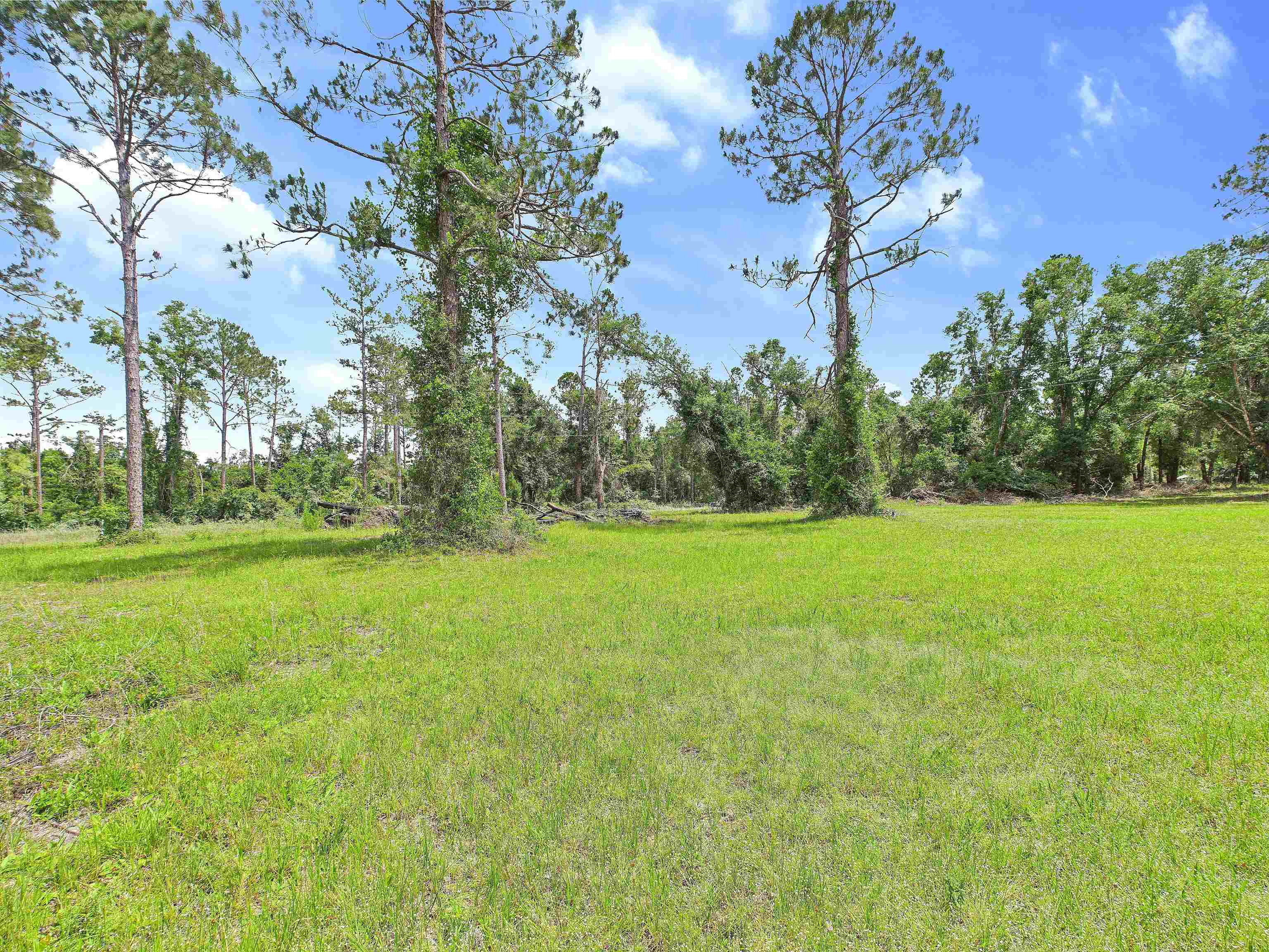 0 Beach Road Perry, FL 32348 - Photo 11 of 15 Gallery Image 11
