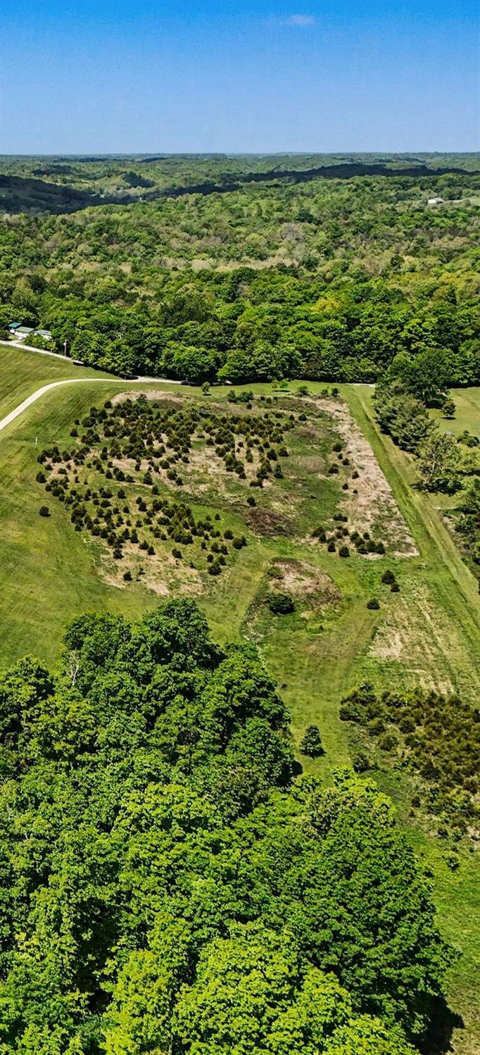0 Longbranch Road Moores Hill, IN 47032 - Photo 1 of 25