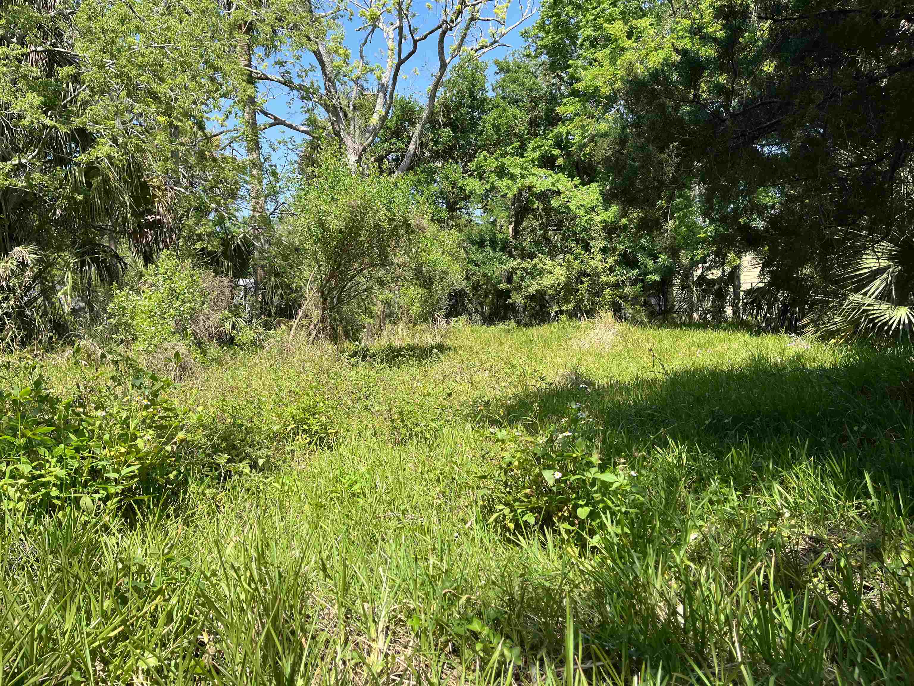 127 Riberia Street St. Augustine, FL 32084 - Photo 2 of 8 a view of a lush green space