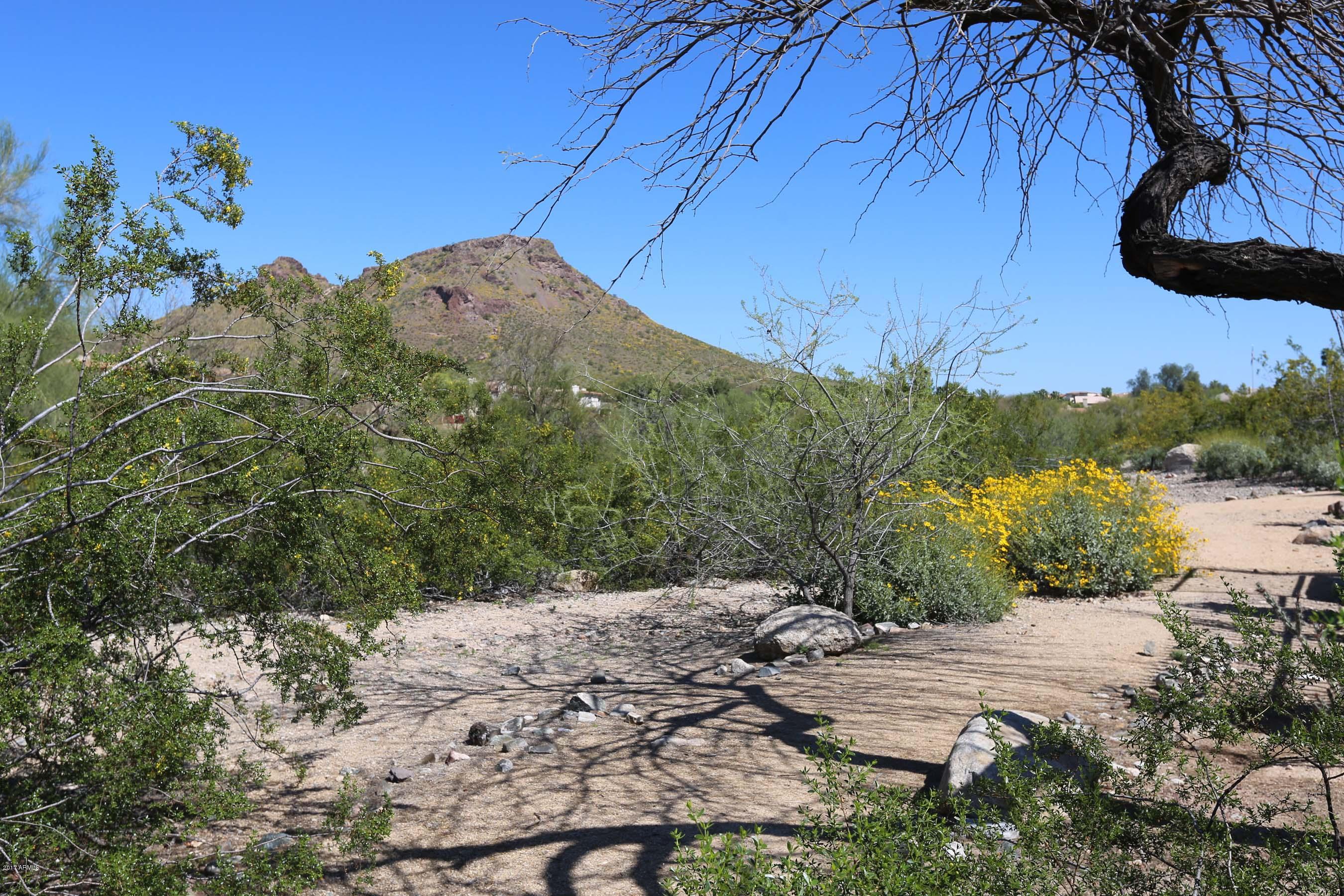 1735 East Redfield Road Phoenix, AZ 85022 - Photo 63 of 68 Redfield 63