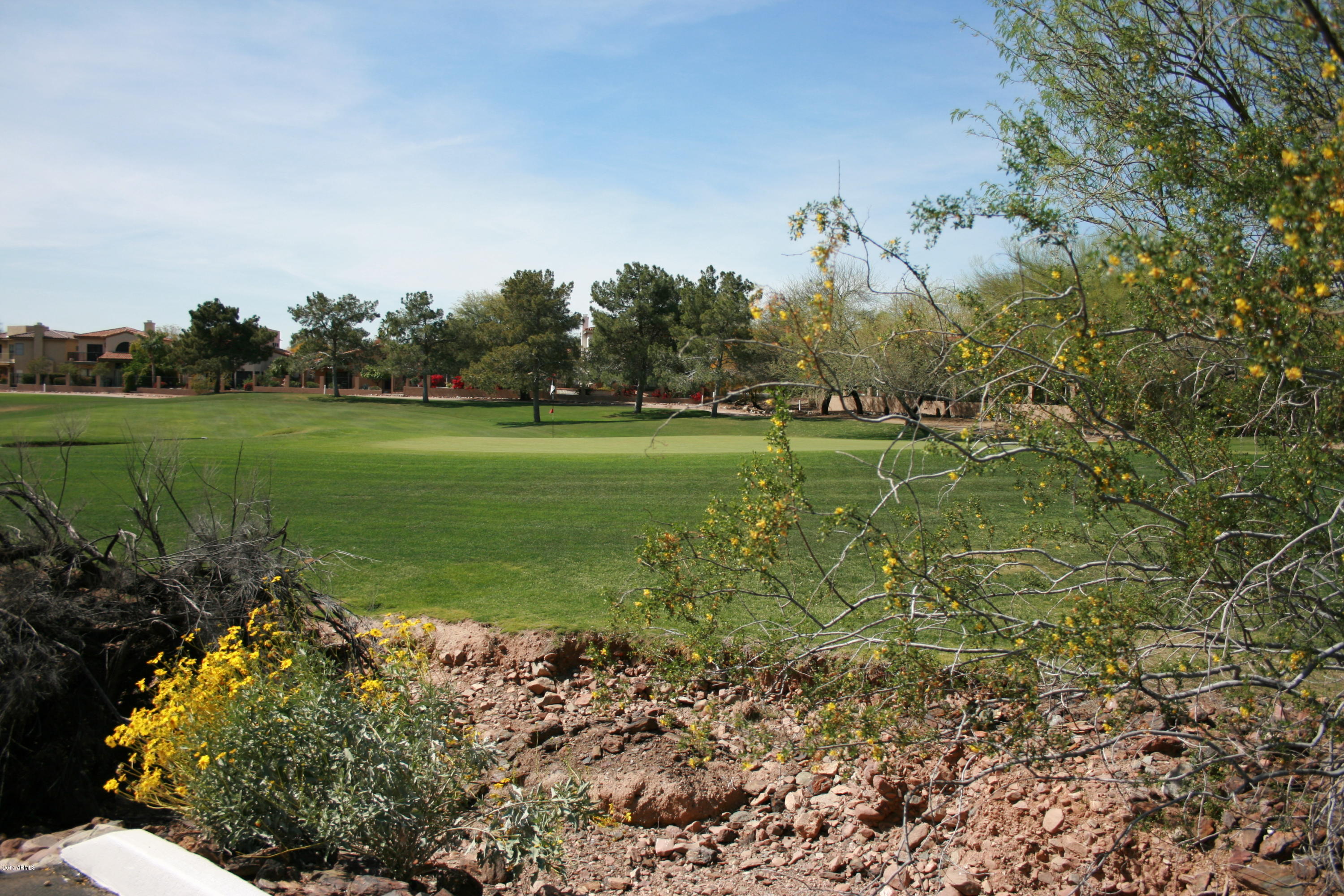 1735 East Redfield Road Phoenix, AZ 85022 - Photo 68 of 68 IMG_6308