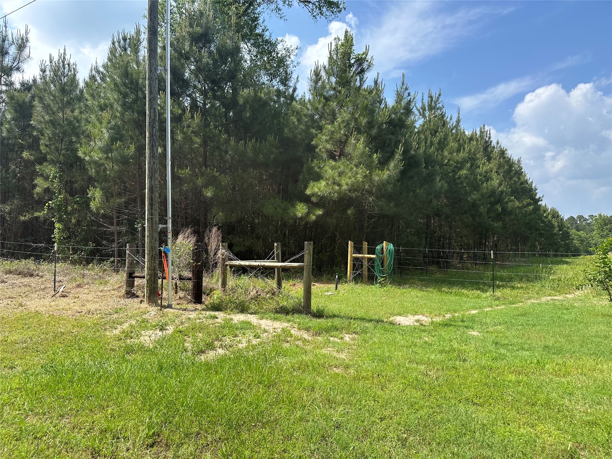 0 Timber Ranch Road Apple Springs, TX 75926 - Photo 8 of 15 Gallery Image 8