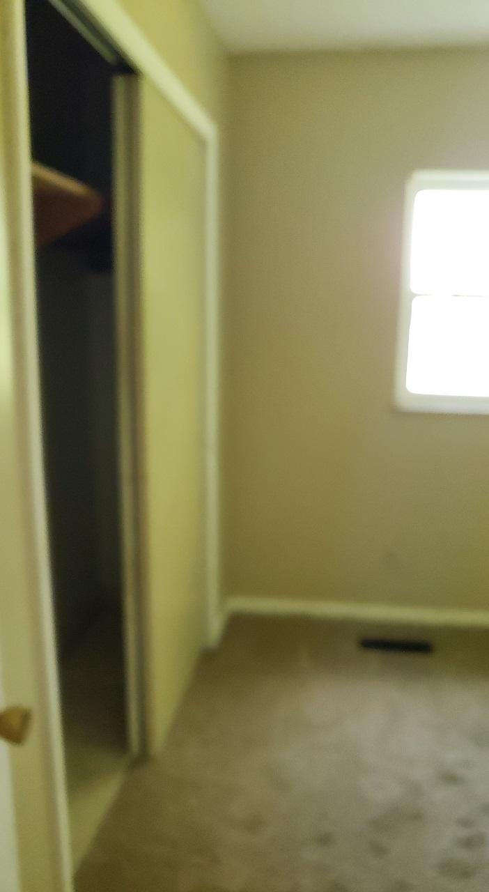496 Judson Road Strawberry Plains, TN 37871 - Photo 19 of 24 20180531_093044