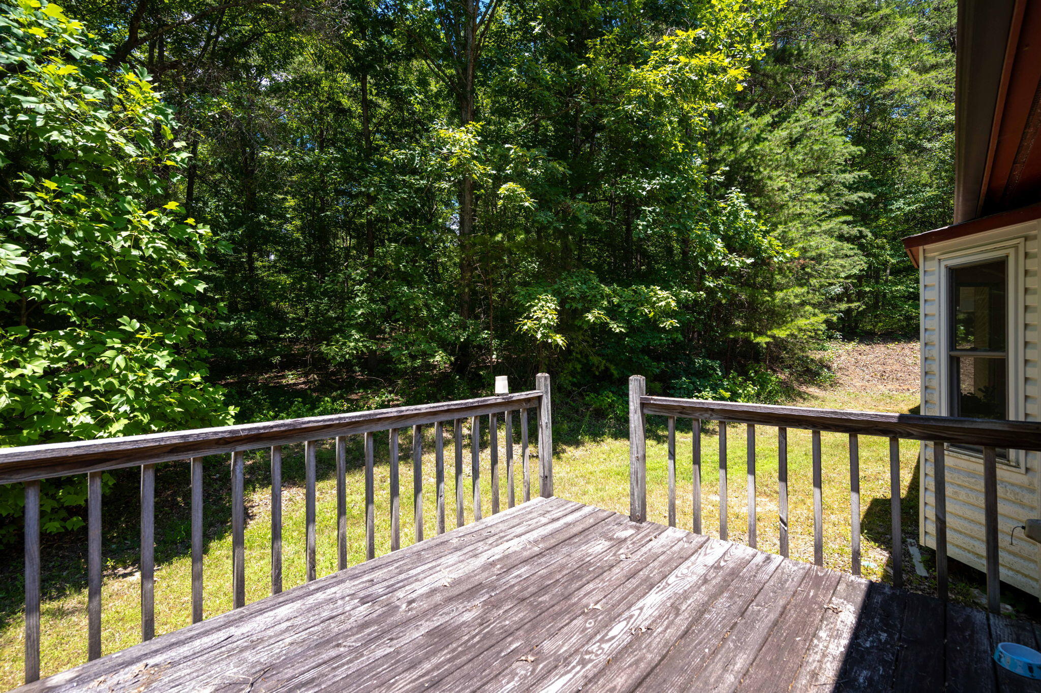 14119 Stormer Road Sale Creek, TN 37373 - Photo 23 of 30 5-web-or-mls-DSC_1219
