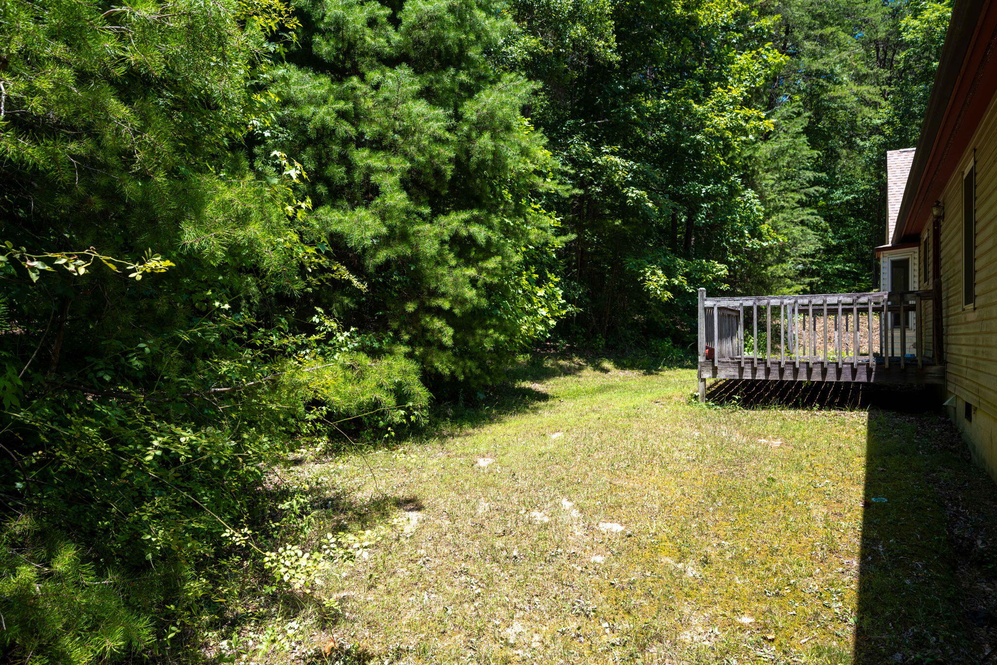 14119 Stormer Road Sale Creek, TN 37373 - Photo 26 of 30 4-web-or-mls-DSC_1218