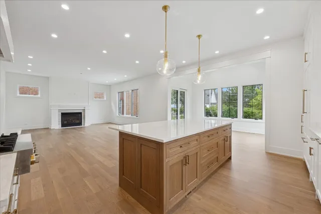 $2,575,000 | 153 South Kenmore Avenue, Elmhurst, IL 60126
