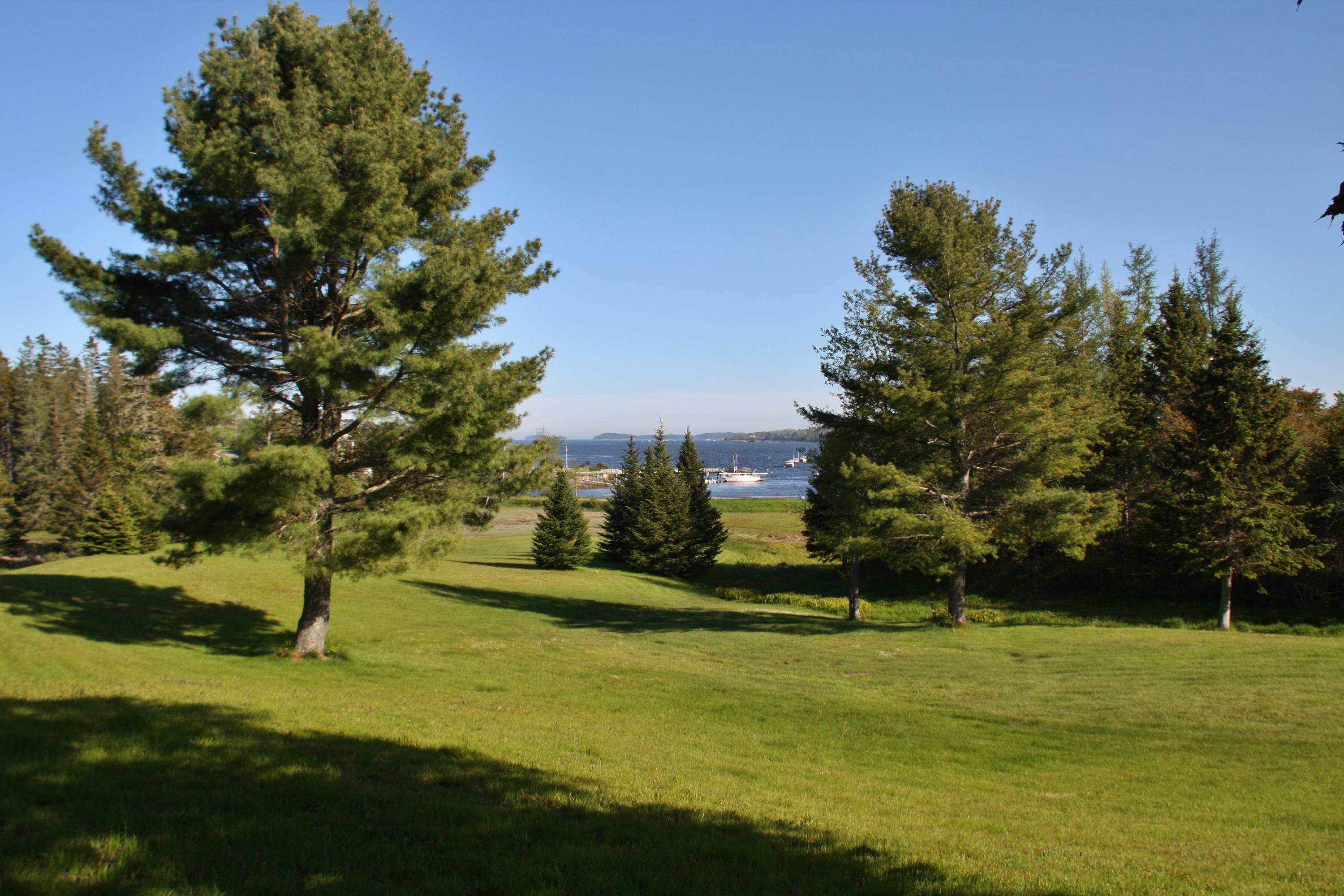 Lot 18 Back Bay Road Milbridge, ME 04658 - Photo 16 of 20 IMG_6284